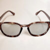 Foster Grant Classic Retro Tort Sunglasses (H22)